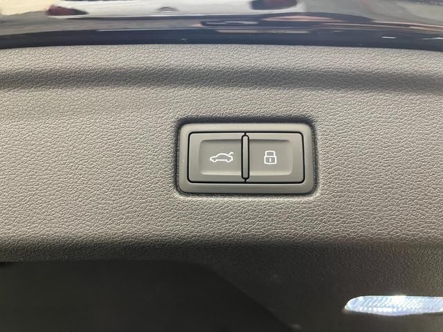 0203361A30260907W00110.jpg