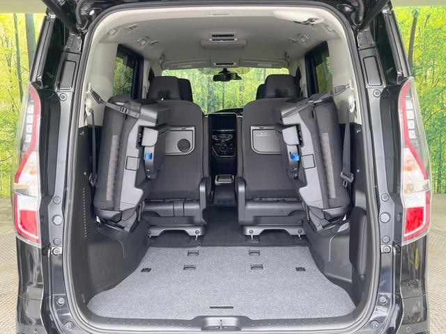 26230295_carP_l_5.jpg