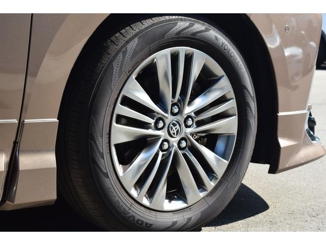 0206702A30260823W00111.jpg