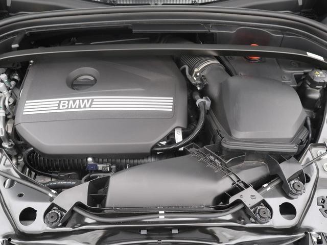 25522272_carP_l_9.jpg