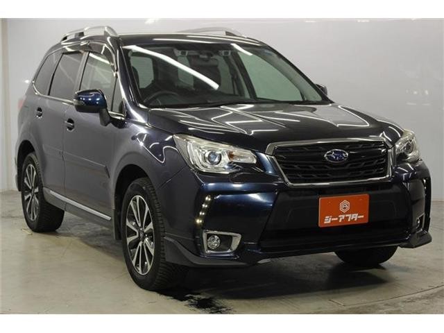 25358373_carP_l_10.jpg