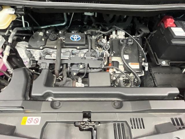26043310_carP_l_16.jpg