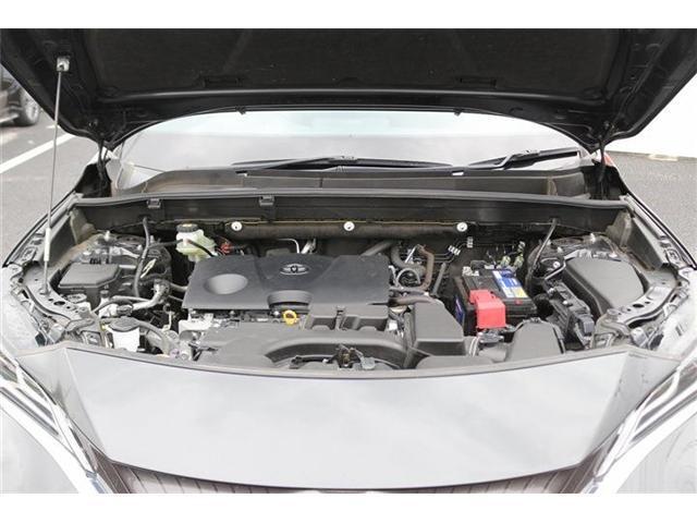 25029954_carP_l_20.jpg