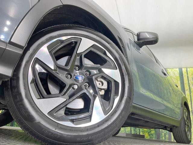 25591691_carP_l_7.jpg