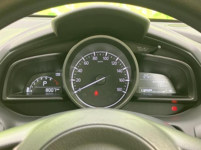 24953786_carP_l_9.jpg