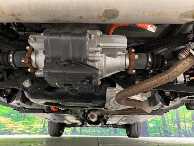 26534361_carP_l_20.jpg