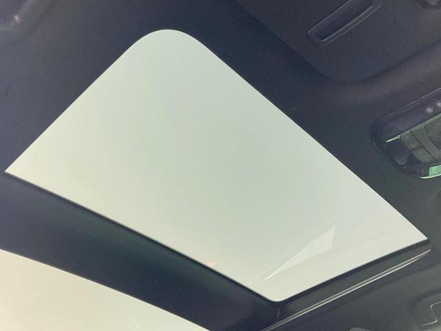 25591777_carP_l_15.jpg