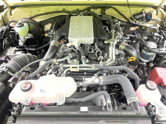 24008641_carP_l_16.jpg