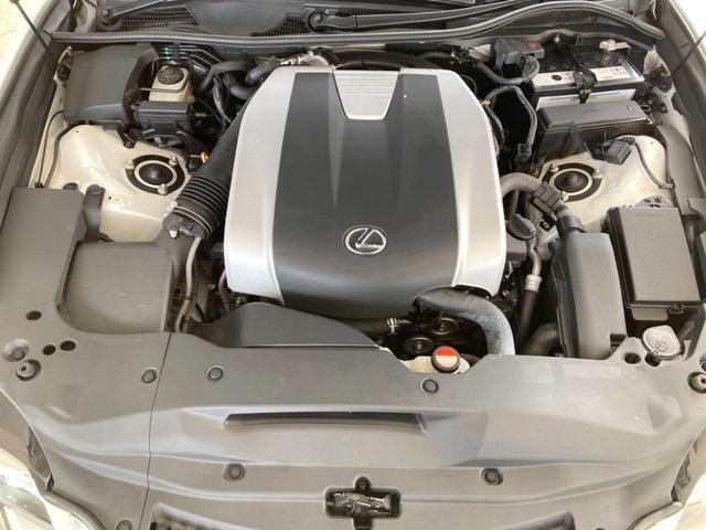 26533696_carP_l_20.jpg