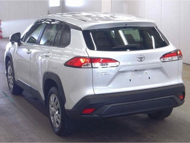 26203954_carP_l_2.jpg