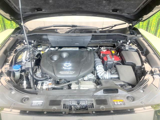 23789627_carP_l_18.jpg