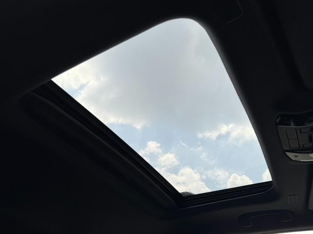 0208637A30260720W00114.jpg