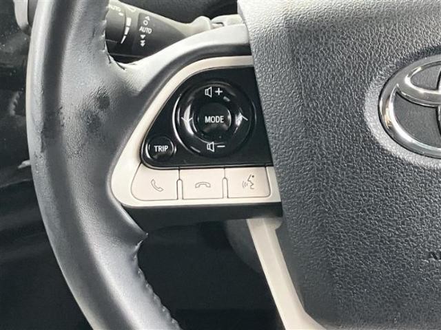 24870384_carP_l_6.jpg