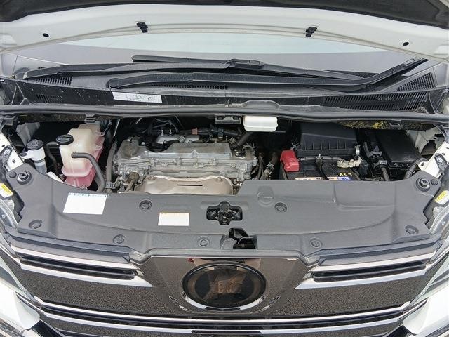 25542353_carP_l_18.jpg