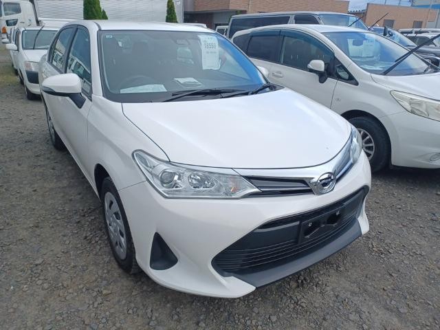 27004150_carP_l_4.jpg