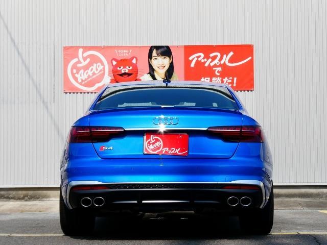 25597032_carP_l_3.jpg