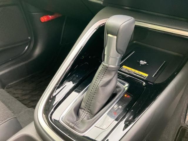24917885_carP_l_12.jpg