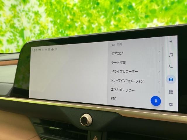24917887_carP_l_6.jpg