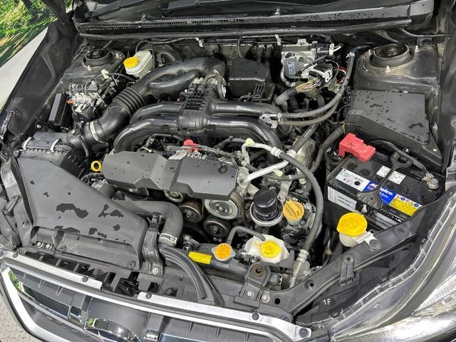 26947080_carP_l_18.jpg