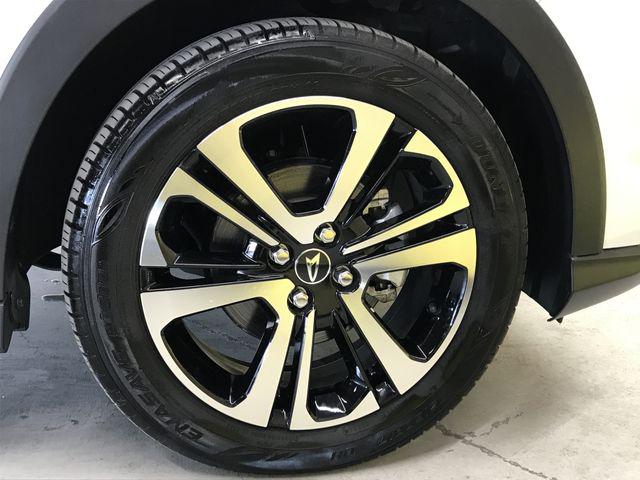 031d249ae8690ca89870fa139b6f29af.jpg