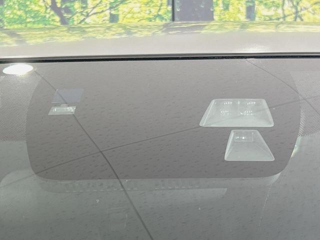 23789901_carP_l_10.jpg