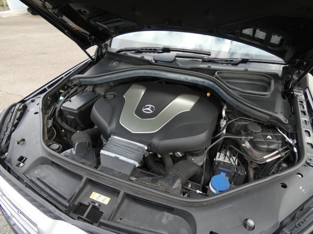 26126260_carP_l_20.jpg