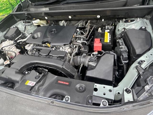26623671_carP_l_18.jpg