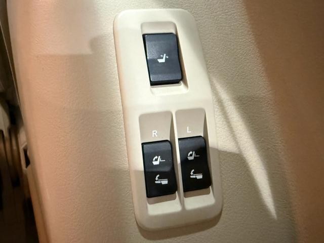 26022524_carP_l_5.jpg
