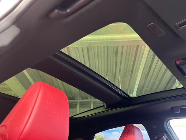 24008738_carP_l_10.jpg