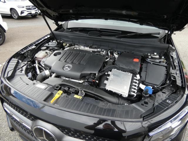 26424785_carP_l_20.jpg