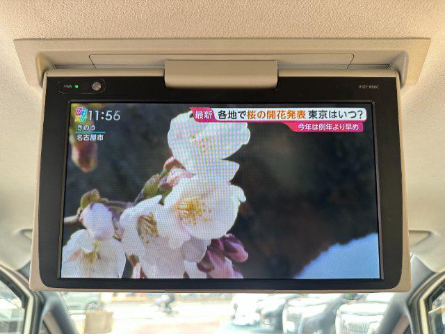 84f02a521436773ae736d4f053cf479e.jpg