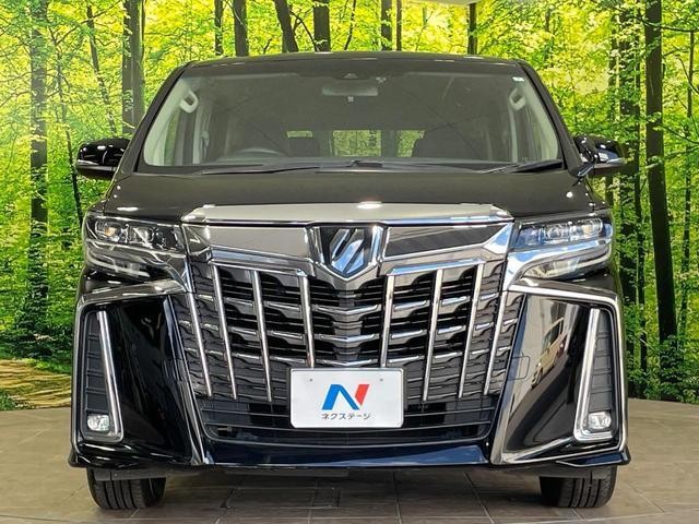 26968785_carP_l_9.jpg