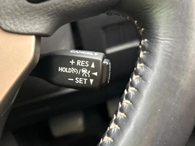 26666924_carP_l_13.jpg