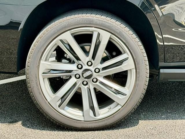 25597401_carP_l_10.jpg