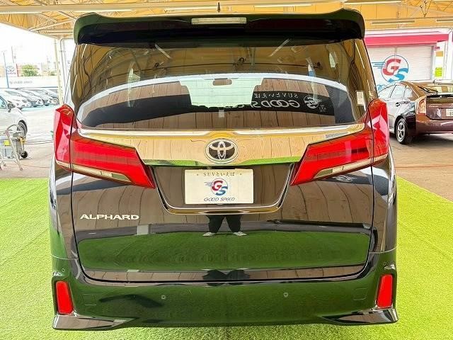 24802558_carP_l_12.jpg