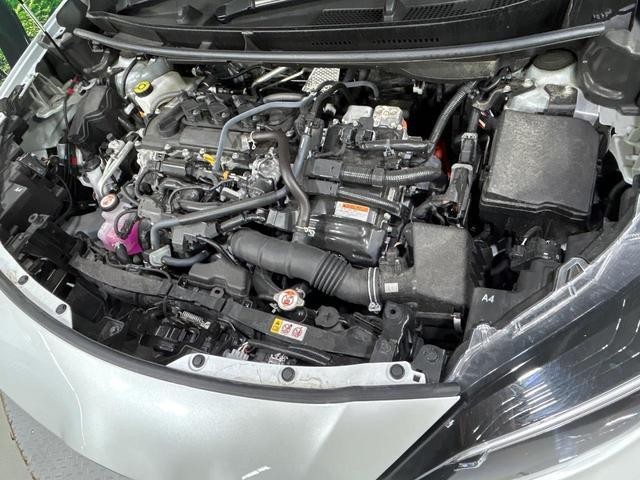 27052292_carP_l_18.jpg