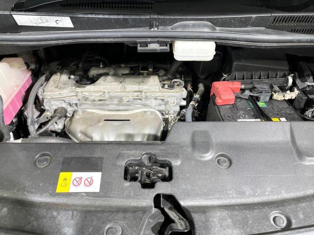 24541909_carP_l_18.jpg
