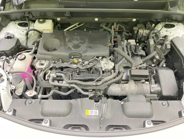 25549488_carP_l_16.jpg
