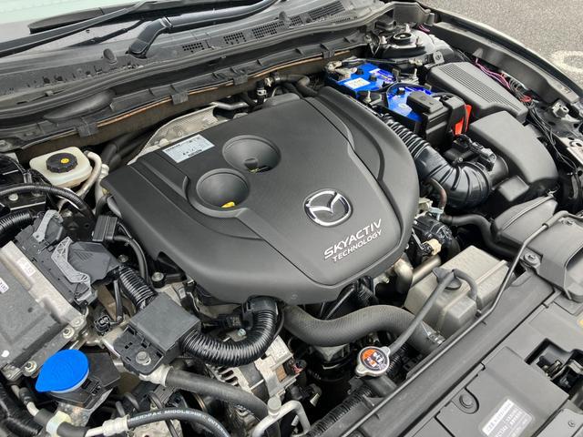 0404113A30260628W00118.jpg