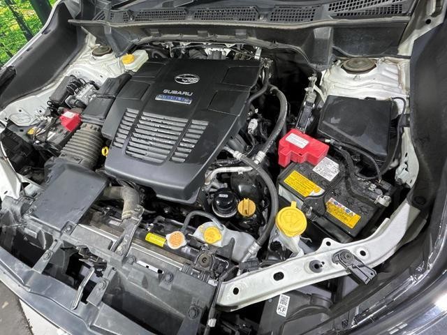 27072606_carP_l_20.jpg