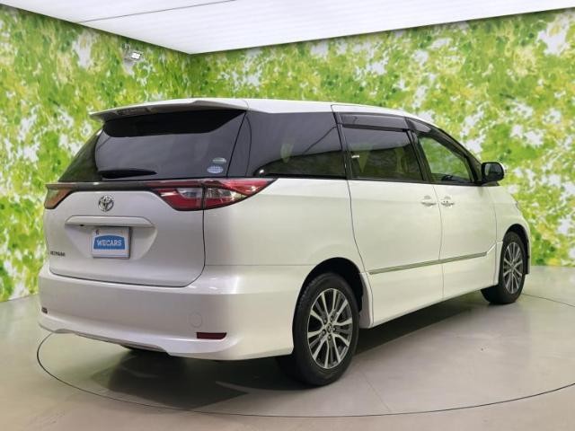 24346119_carP_l_15.jpg
