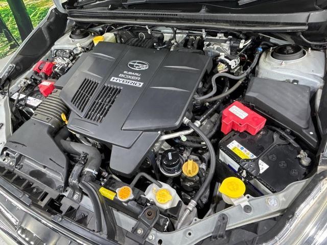 26023230_carP_l_16.jpg