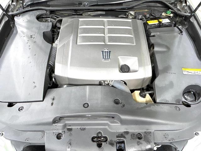 26816602_carP_l_16.jpg