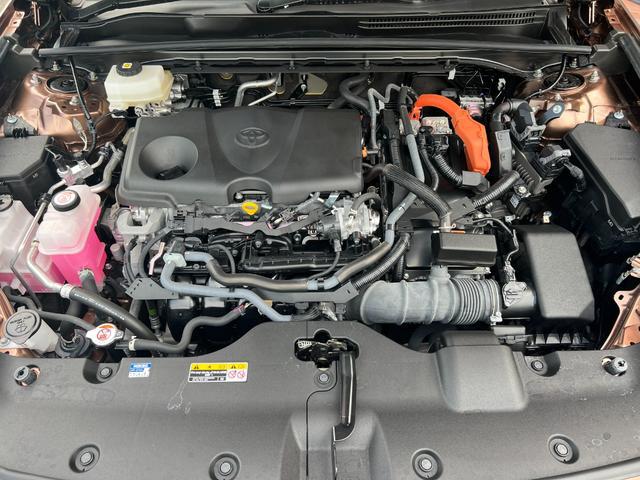 0700361A30260420W00117.jpg