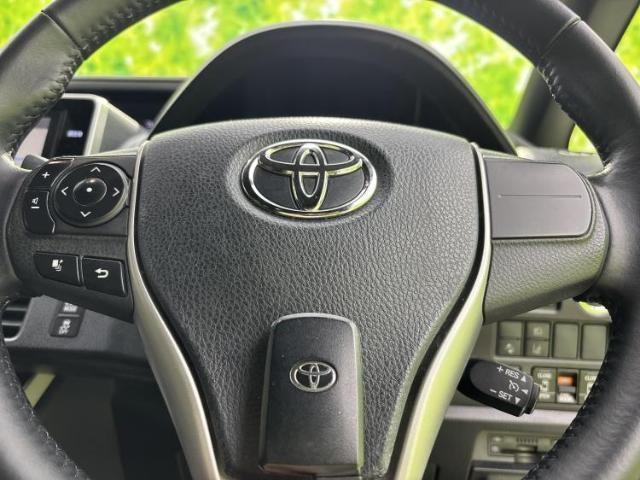 24988433_carP_l_9.jpg