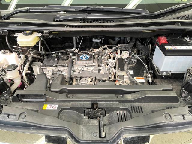 23497275_carP_l_16.jpg