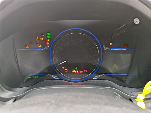 41.jpg