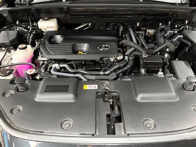 25571254_carP_l_16.jpg