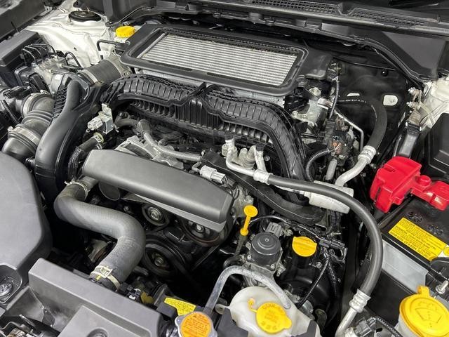 27094717_carP_l_16.jpg