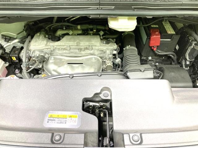 25015197_carP_l_18.jpg